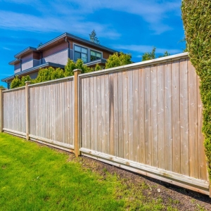 Photo of Pro Fence