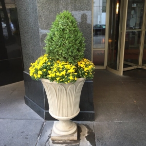 Photo of Ben G Landscaping