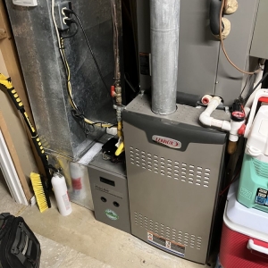 Photo of Clover Services