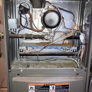 Photo of Clover Services