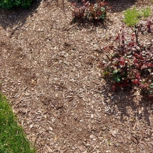 Photo of Mulch Smart