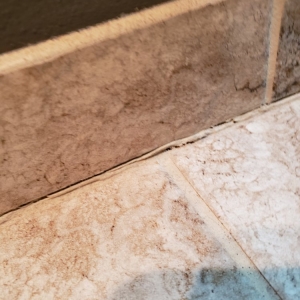 Waukesha Paradise Builders