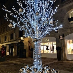 Photo of North Star Christmas Lights LLC