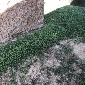 Photo of UCI Housing - Verano Place