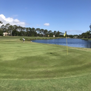 Photo of Windsor Parke Golf Club
