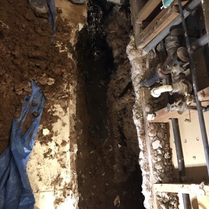 Photo of Pink Plumbing & Sewer