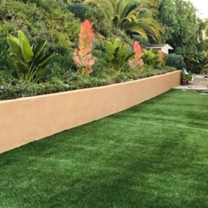 Photo of Arizona Smart Grass