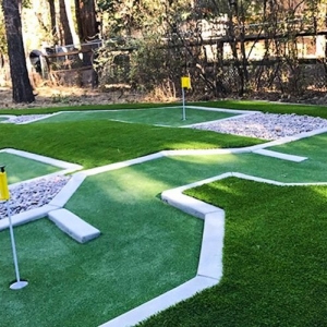 Photo of Arizona Smart Grass