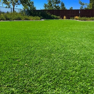 Photo of Arizona Smart Grass