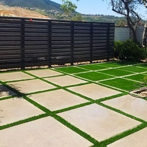 Photo of Arizona Smart Grass