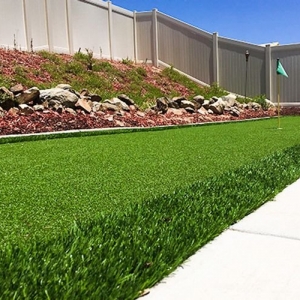 Photo of Arizona Smart Grass