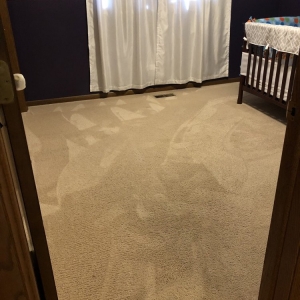 Photo of Oxi Fresh Carpet Cleaning