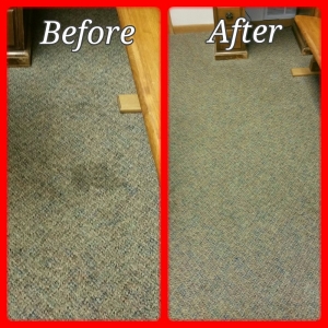 Photo of Oxi Fresh Carpet Cleaning