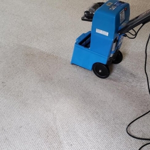 Photo of Oxi Fresh Carpet Cleaning