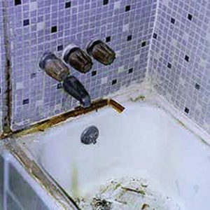 Photo of 24 Hour Bath