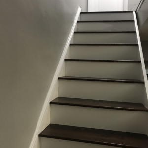 Photo of Flooring Doctor