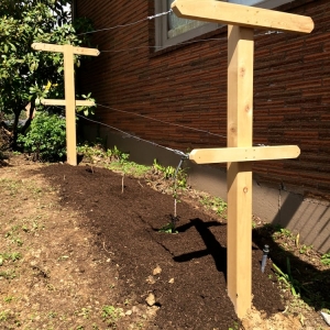 Photo of Portland Edible Gardens, LLC