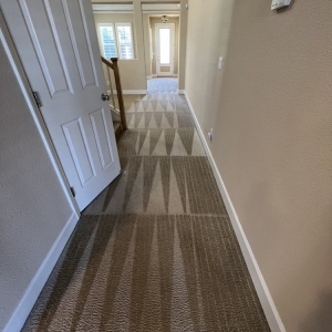 Photo of Alpha Steam Carpet Cleaning