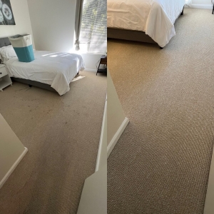 Photo of Alpha Steam Carpet Cleaning