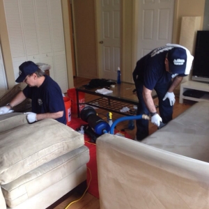 Photo of A-Abace Cleaning Services