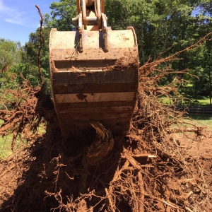 Photo of Elite Irrigation & Landscaping