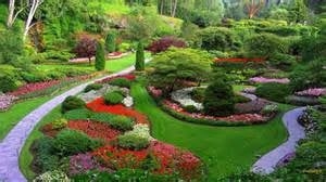 Photo of Elite Irrigation & Landscaping