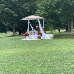 Photo of Pretty Luxe Picnics
