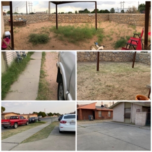 Photo of CA Landscaping