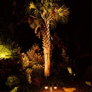 Photo of Fine Edge Landscape Design