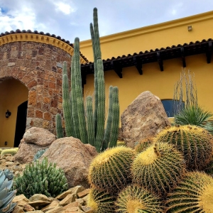 Photo of Altissimo Landscape Design & Maintenance