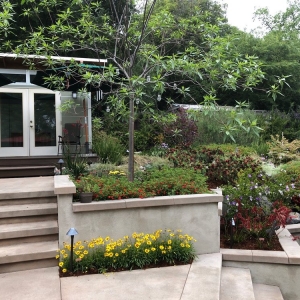 Photo of Garden View Landscape and Pools