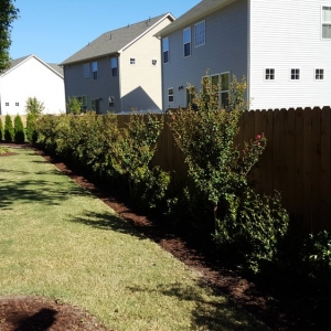 Photo of Green Quest Lawn & Landscaping