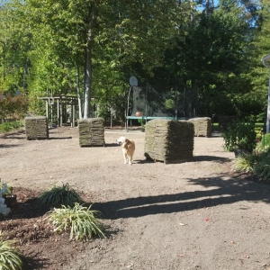 Photo of Green Quest Lawn & Landscaping