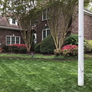 Photo of Dreamlawns