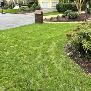 Photo of Dreamlawns