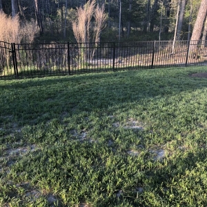 Photo of Dreamlawns
