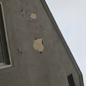 Photo of Hi-Grade Painting and Development