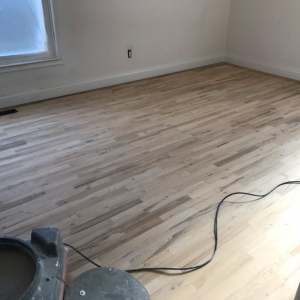 Photo of Constructive Services