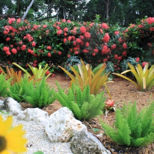Photo of Reef Pools & Landscape