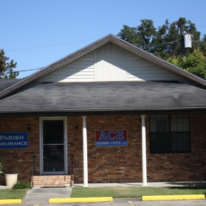 Photo of Ace License & Title