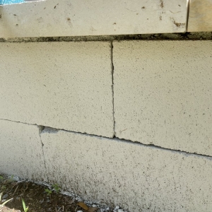 Photo of Transformed Landscaping