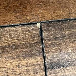 Photo of Floors To Your Home