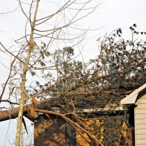 Photo of RH Clarkson Insurance Group