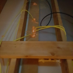 Photo of Allen's Roofing and Insulation Services