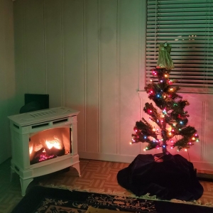 Photo of Gas Fireplaces Plus