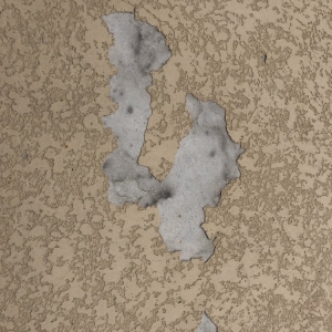 Photo of Concrete Coating Specialists