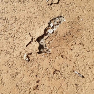 Photo of Concrete Coating Specialists
