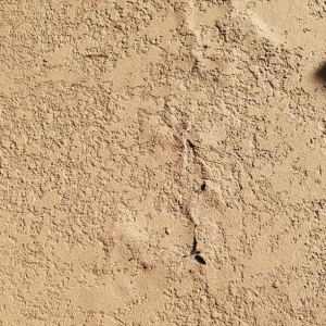 Photo of Concrete Coating Specialists