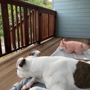 Photo of Decks By Woodmasters