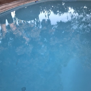 Photo of East County Pools